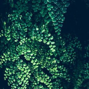 Meet your Posher, Meg